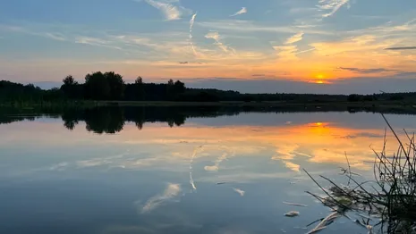Озеро в Меленковском районе признали самым чистым в регионе