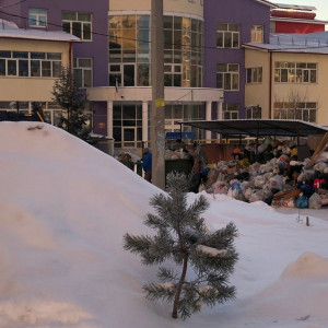 Жители Владимира пожаловались на горы мусора во дворах