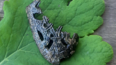 В Окском парке в Муроме нашли наконечник ножен меча 10-го века