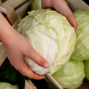 Евлампий Зимоуказатель: что можно и нельзя делать 23 октября