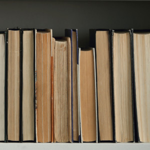 Владимирским выпускникам все же придется читать классику для сдачи экзаменов