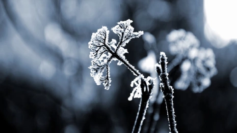 Владимирские спасатели предупредили об аномально холодном вторнике