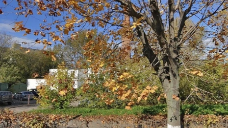 Во Владимире решили снести котельную у ВлГУ