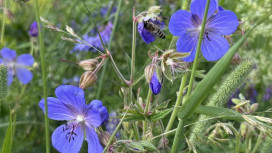 Настоящее тепло вернется во Владимирскую область в начале мая