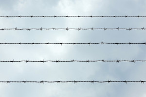 Во Владимире пьяного водителя на 2,5 года отправили в колонию-поселение