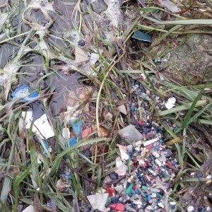 Губернатор назвал «свинством» загрязнение Клязьмы во Владимире