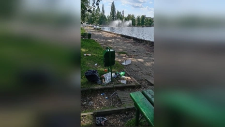 Жители Гусь-Хрустального пожаловались на заваленную мусором набережную