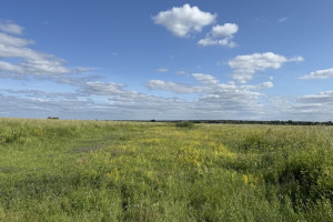 Прогноз погоды во Владимирской области на 23 июня 2025 года