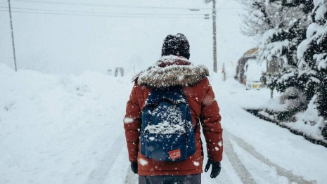 Синоптики дали прогноз на ноябрь во Владимирской области
