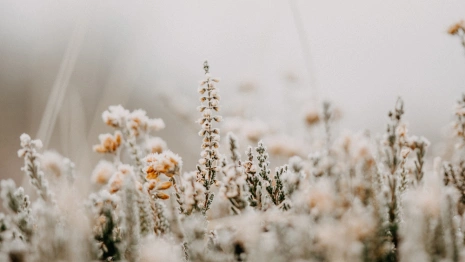 Прогноз погоды во Владимирской области на 4 января