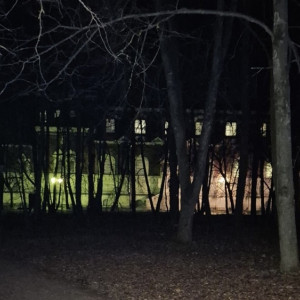 Жителя Гусь-Хрустального будут судить за изнасилование женщины у музея хрусталя