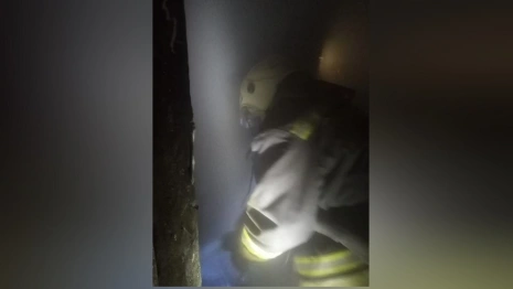 На пожаре во Владимирской области 2 человека спасли и 5 эвакуировали
