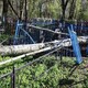 В Юрьев-Польском дерево упало на кладбище и повредило ограды