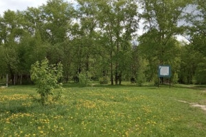 Губернатор рассказал о судьбе Козьего парка во Владимире