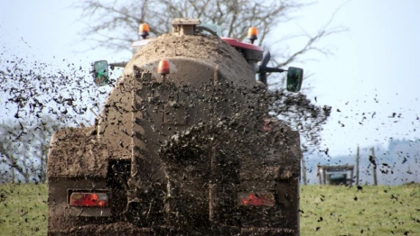 В районе Владимирской области испугались загрязнения реки навозом с фермы