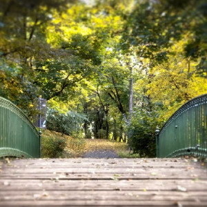 Во Владимирской области вне очереди благоустроят городской сквер и памятник Долгорукому