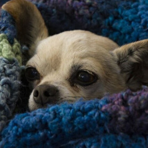 13 июля стало одним из самых холодных летних дней во Владимире за 50 лет