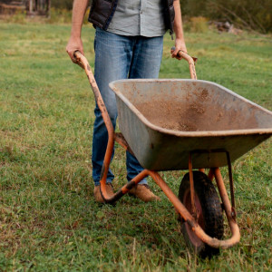 В Юрьев-Польском прокативший умирающего друга на тачке мужчина ответит в суде