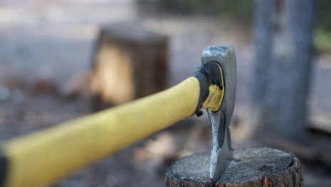 Житель Владимирской области зарубил приятеля топором и двумя ножами