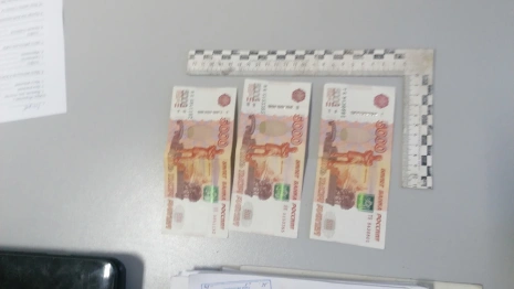 Нелегал из Петушков попал под следствие за попытку дачи взятки полицейскому