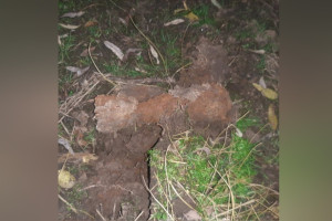 Во Владимире в пойме Клязьмы нашли минометную мину  