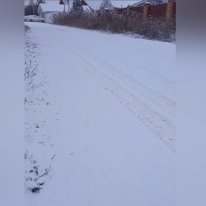 Владимирскую область замело снегом 