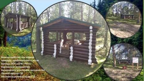 Во Владимирской области выбрали лучшие лесные беседки