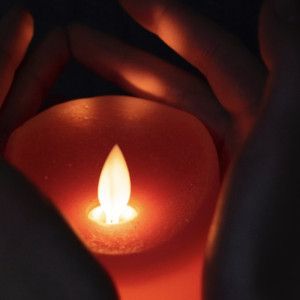 Авдеев подтвердил гибель 100 жителей Владимирской области в зоне СВО