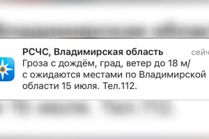 МЧС предупредило жителей Владимирской области о грозе и граде 15 июля