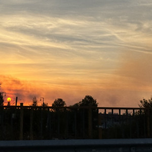 Во Владимирской области с 30 апреля по 2 мая сохранится высокая пожарная опасность