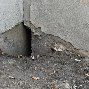 Во Владимире жильцов ветхих домов переселяли в квартиры с плесенью и вонью