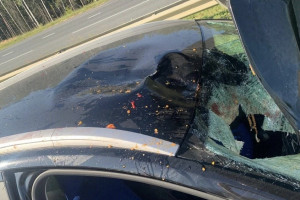 Водителя из Судогды будут судить за смертельную аварию с женщиной-пешеходом