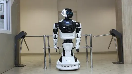 Во Владимирской области гостей отеля встречает робот Михалыч