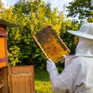 Пудов день: что можно и нельзя делать 28 апреля