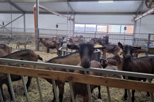 В Петушинском районе появится уникальный агротуристический комплекс