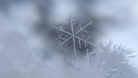 Прогноз погоды во Владимирской области на 23 декабря