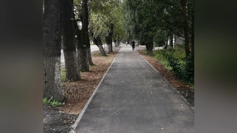В райцентре Владимирской области у школы появился новый тротуар 
