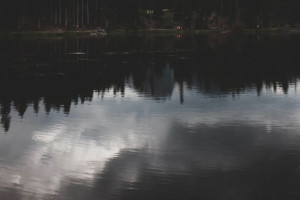 Утонувших под Александровом студентов московского вуза пытались спасти приятели