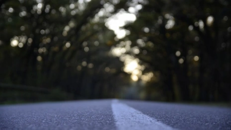 Правда или ложь? Шесть любопытных утверждений о Коврове