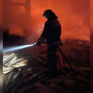 Во Владимирской области мощный пожар охватил деревообрабатывающий цех