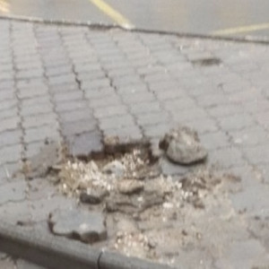 Владимирские коммунальщики взвыли от вандалов