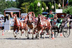 Владимирская область стала участницей чемпионата русских троек