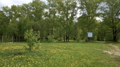 Губернатор рассказал о судьбе Козьего парка во Владимире