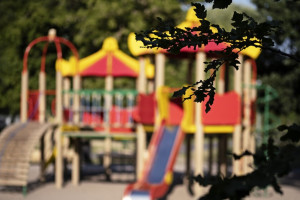 Жители сел и деревень Владимирской области собрали более 1,5 млн рублей на благоустройство