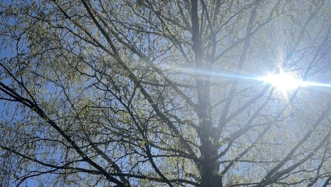 Прогноз погоды во Владимирской области на 22 апреля