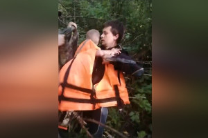 Водолаз из Владимира нашел пропавшего в вологодских лесах 3-летнего мальчика 