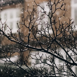 Прогноз погоды во Владимирской области на 22 ноября