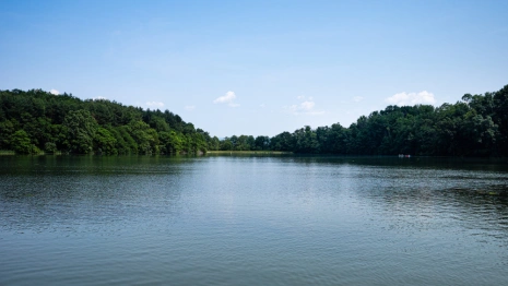 Владимирский губернатор рассказал Путину о хаусботах