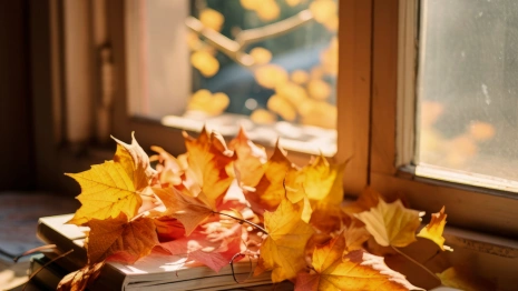 Прогноз погоды во Владимирской области на 13 октября