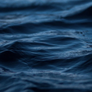 Студенты, ребенок и рыбак. Во Владимирской области утонули 11 человек